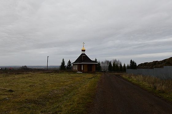 Участника СВО из Бирска с позывным Тохн трижды спас от гибели вековой дуб