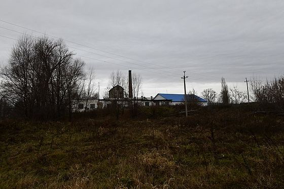 Голосование в течение трех дней становится традиционным для российской избирательной системы. Когда появилась такая практика? Чем она удобна для жителей Башкортостана?