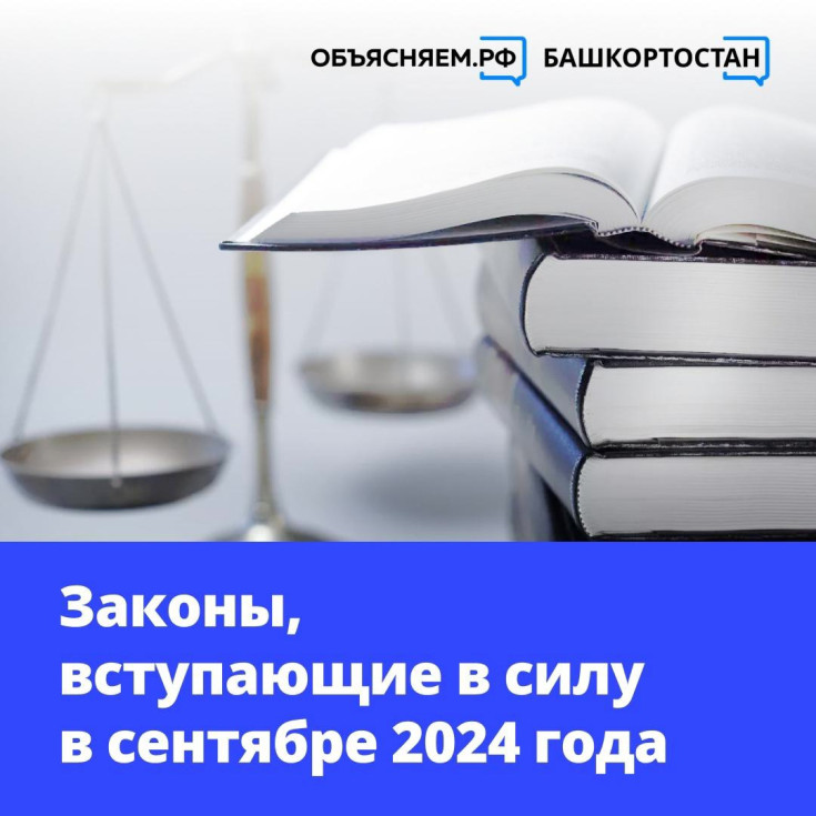 Законы, которые вступают в силу в сентябре 2024 года